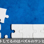 ゲットしてるのはパズルのワンピース