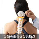 分類の面白さと共通点