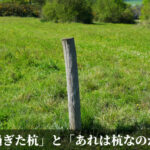 「出過ぎた杭」と「あれは杭なのか？」