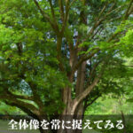 全体像を常に捉えてみる